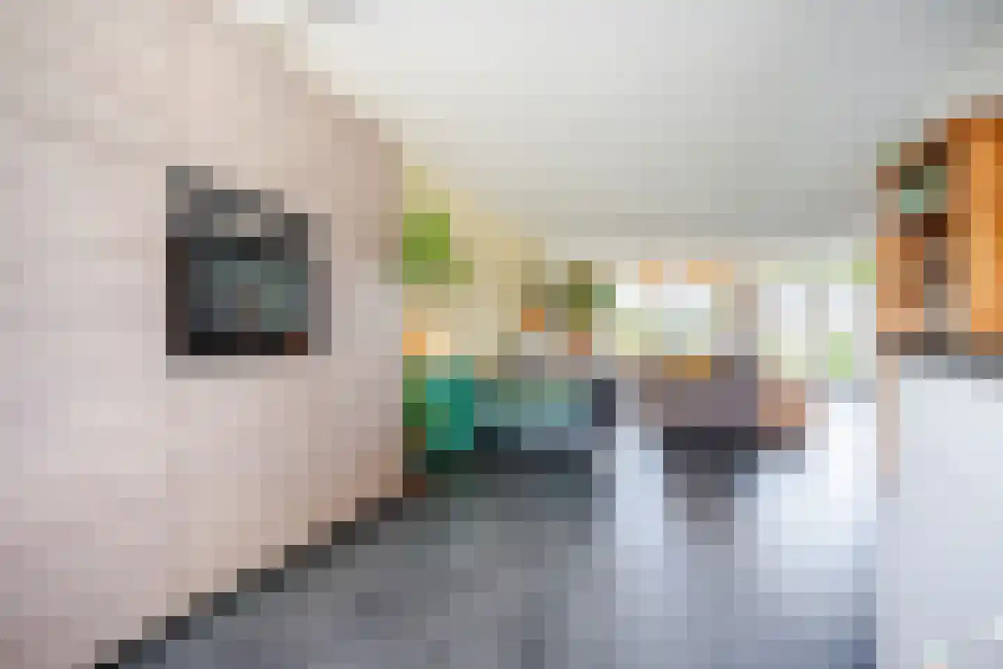 Poolster 5 Oosterhout thumbnail 15