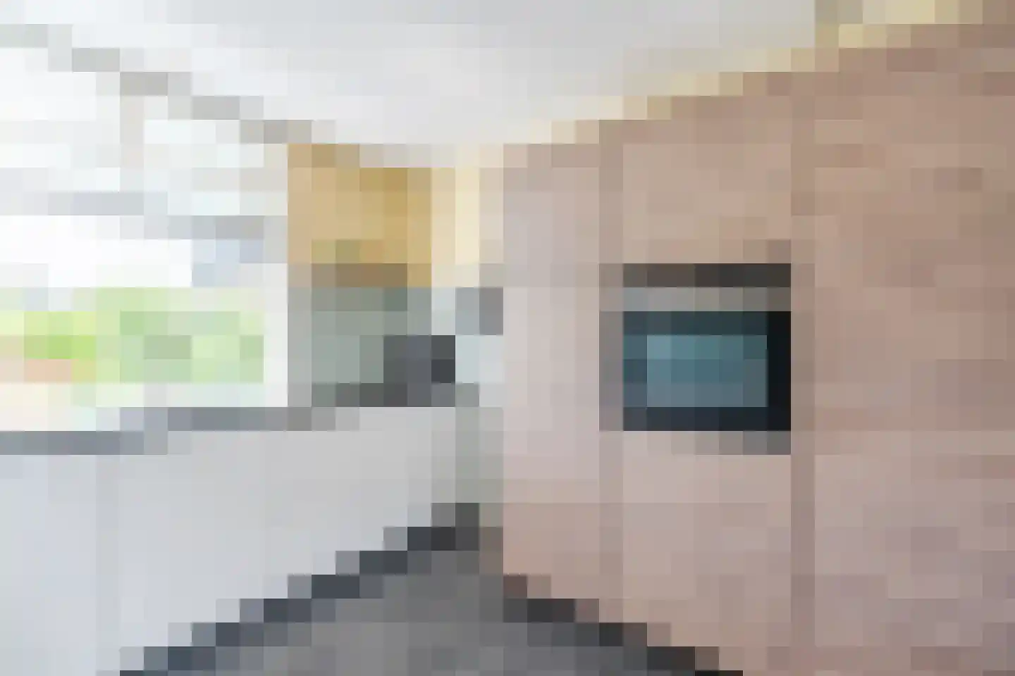 Poolster 5 Oosterhout thumbnail 19