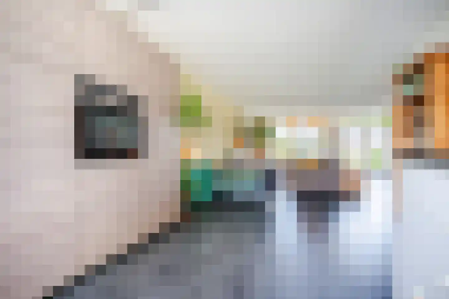 Poolster 5 Oosterhout thumbnail 23