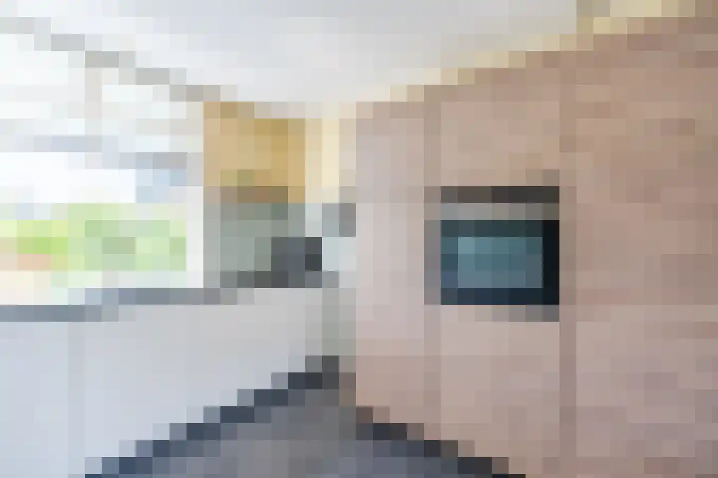 Poolster 5 Oosterhout thumbnail 28