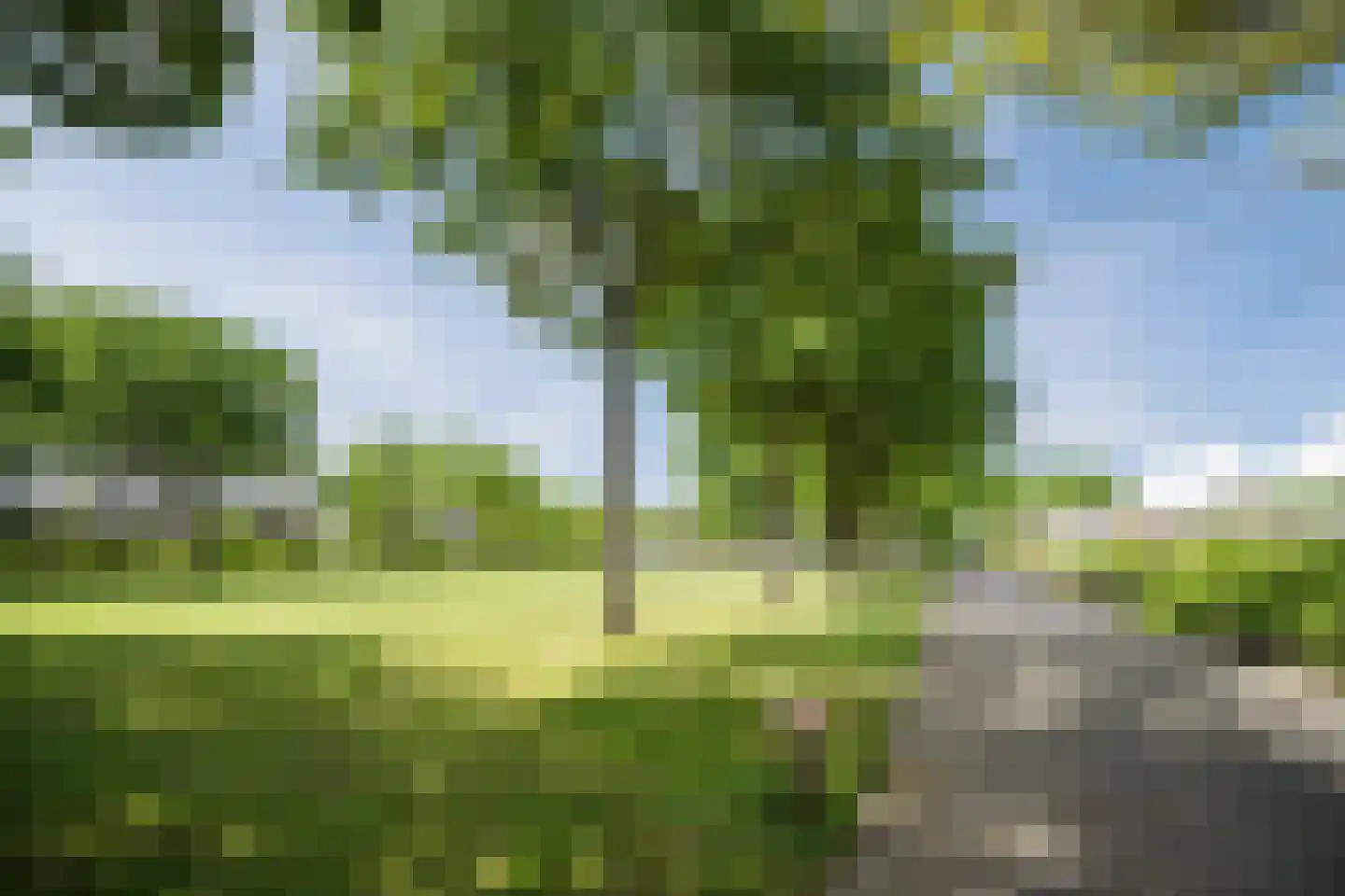 Poolster 5 Oosterhout thumbnail 57