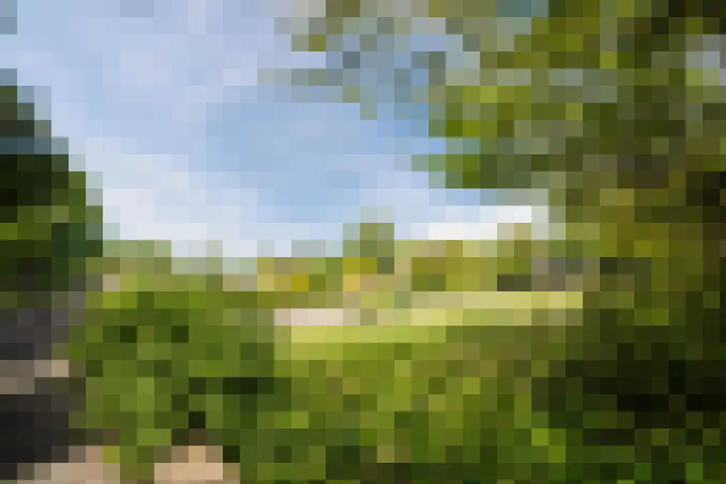 Poolster 5 Oosterhout thumbnail 58