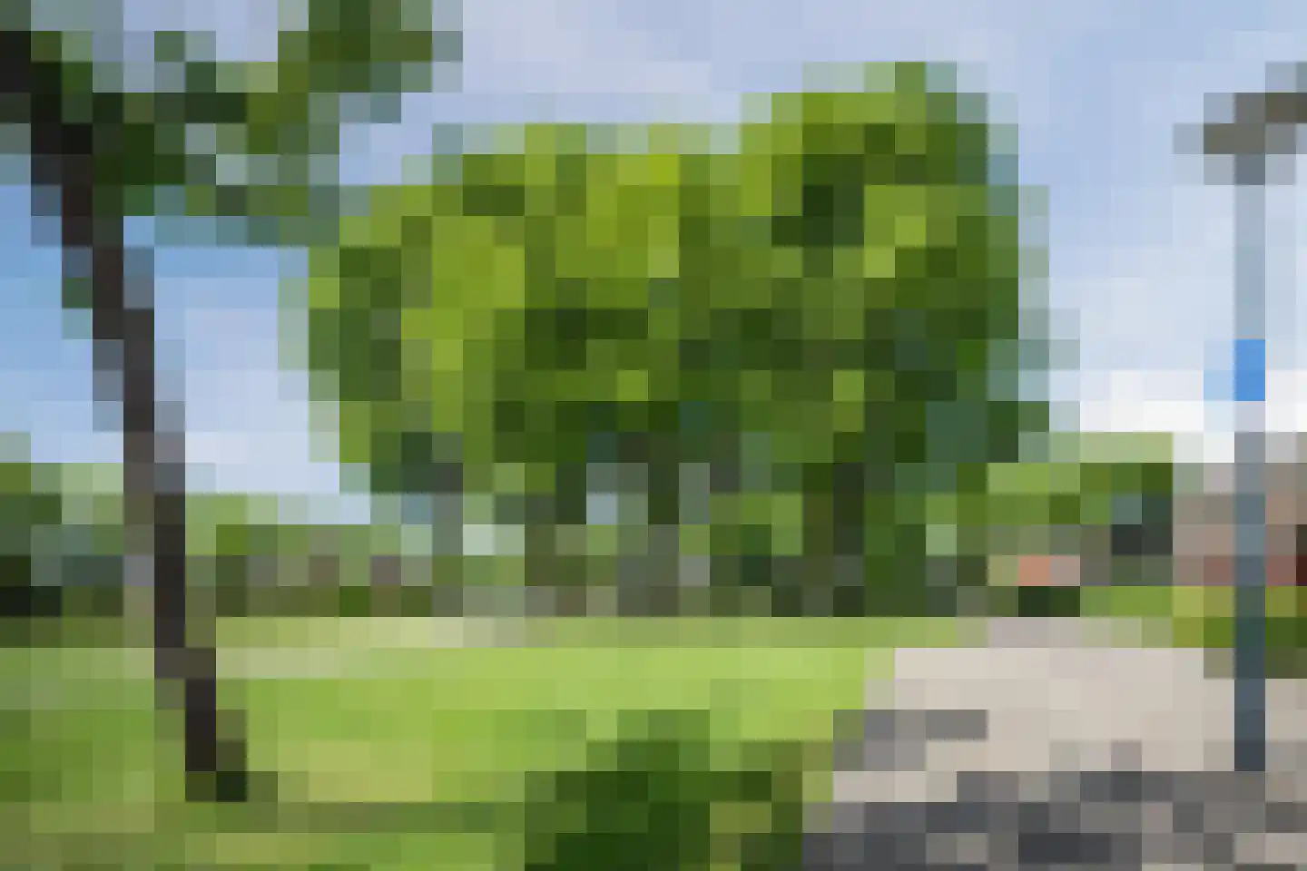 Poolster 5 Oosterhout thumbnail 59