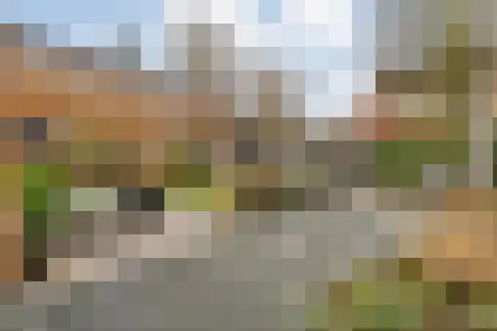 Poolster 6 De Krim thumbnail 39