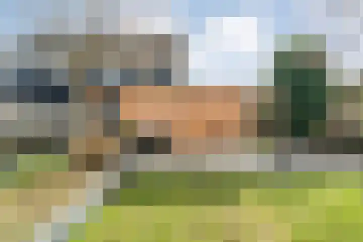 Poolster 6 De Krim thumbnail 45