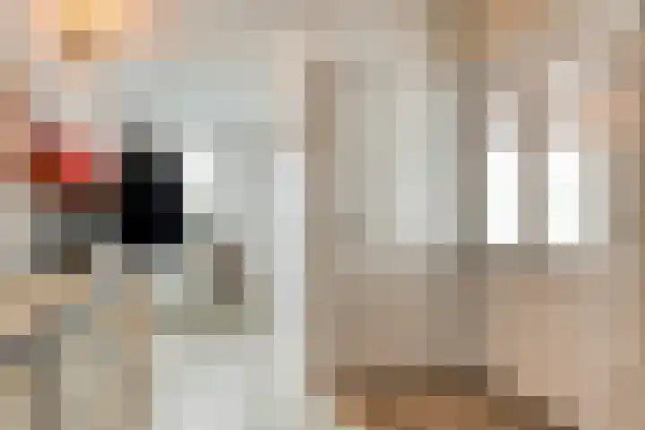 Poolster 6 De Krim thumbnail 7