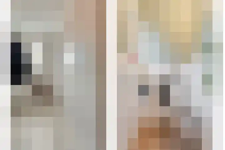 Poolster 6 De Krim thumbnail 8