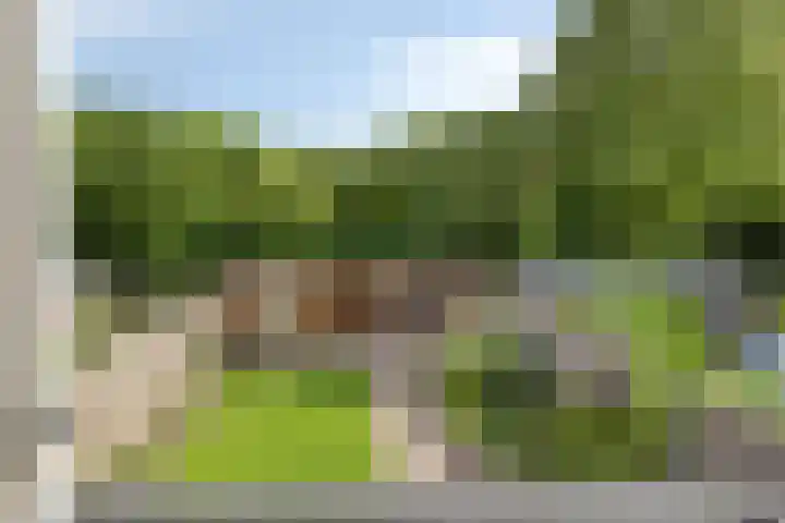 Poolster 6 Zeewolde thumbnail 35