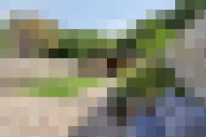Poolster 6 Zeewolde thumbnail 36