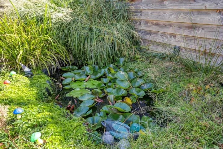 Poolster 6 Zeewolde thumbnail 37