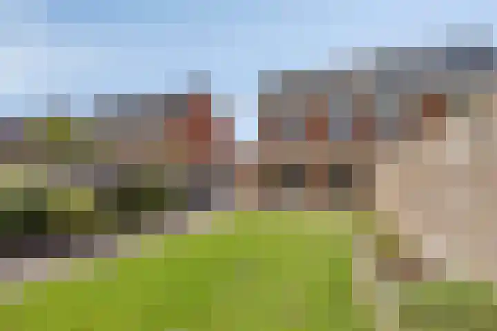 Poolster 6 Zeewolde thumbnail 41