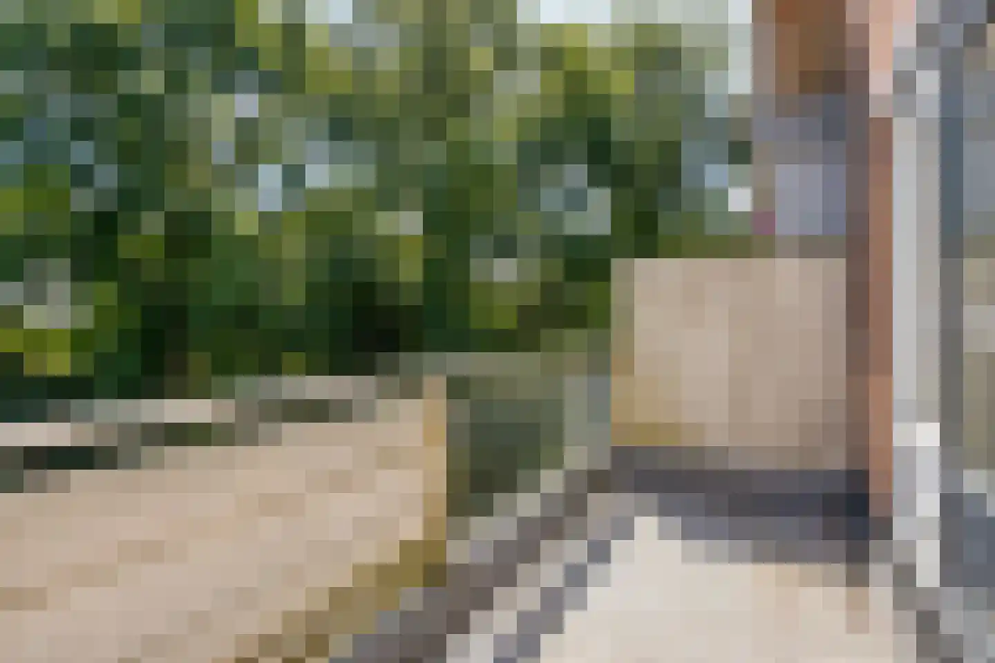 Poolster 63 Hoorn thumbnail 10