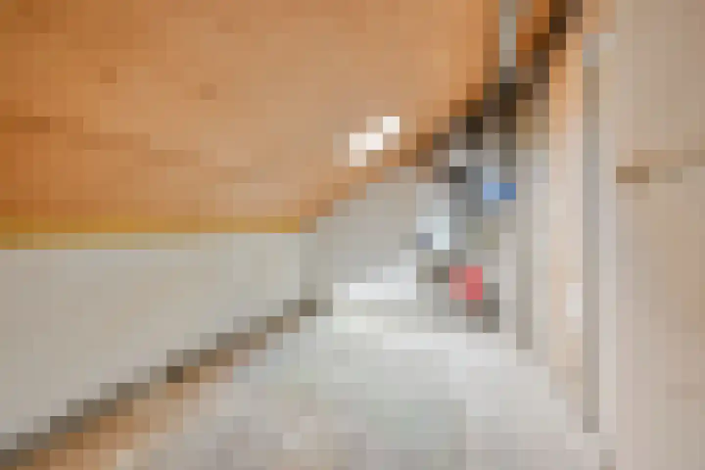Poolster 63 Hoorn thumbnail 27