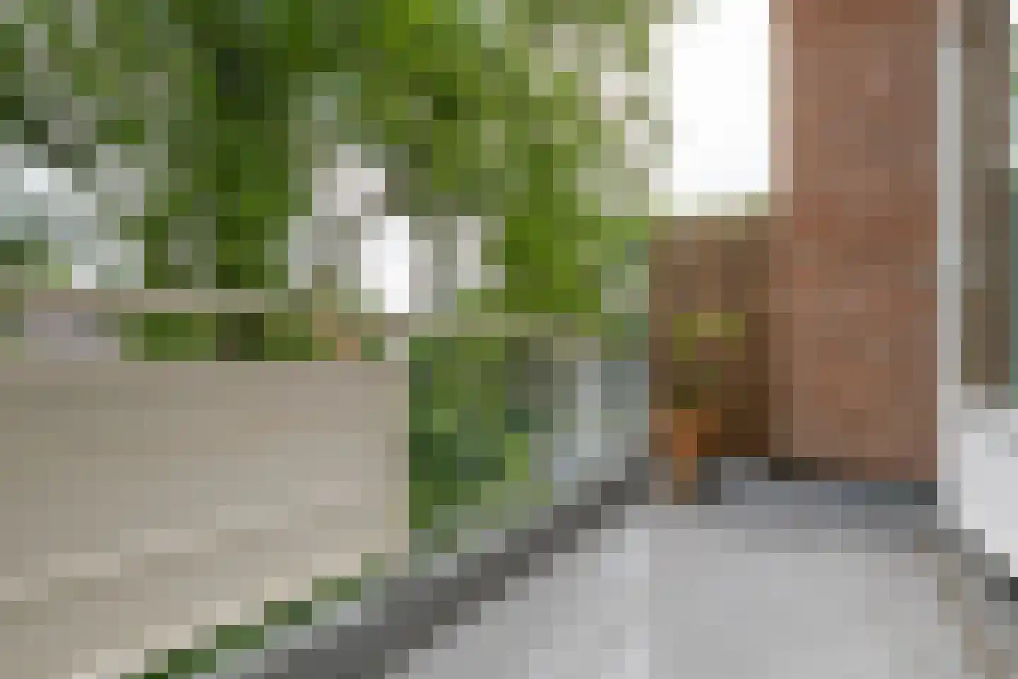 Poolster 69 Hoorn thumbnail 13