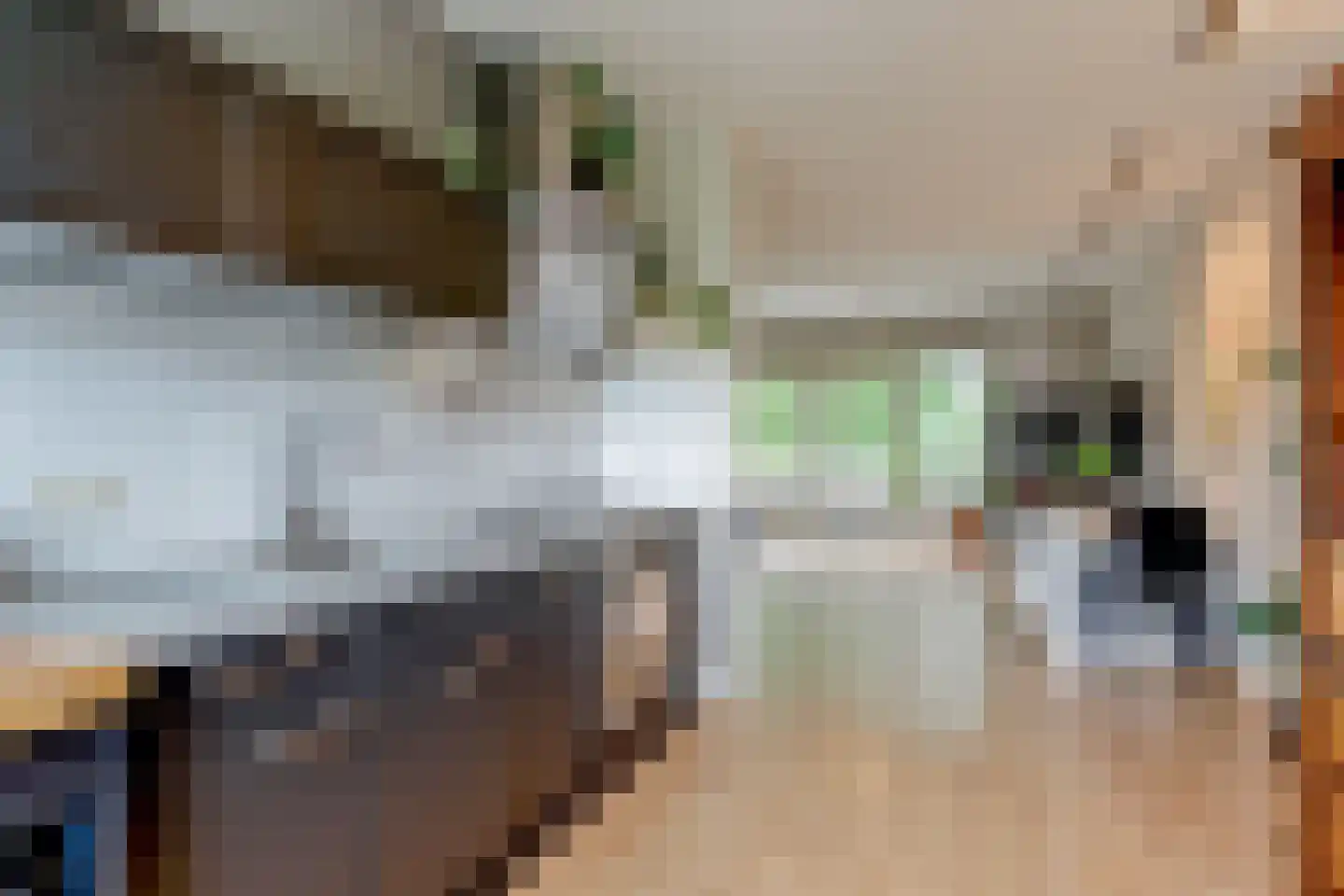 Poolster 69 Hoorn thumbnail 20