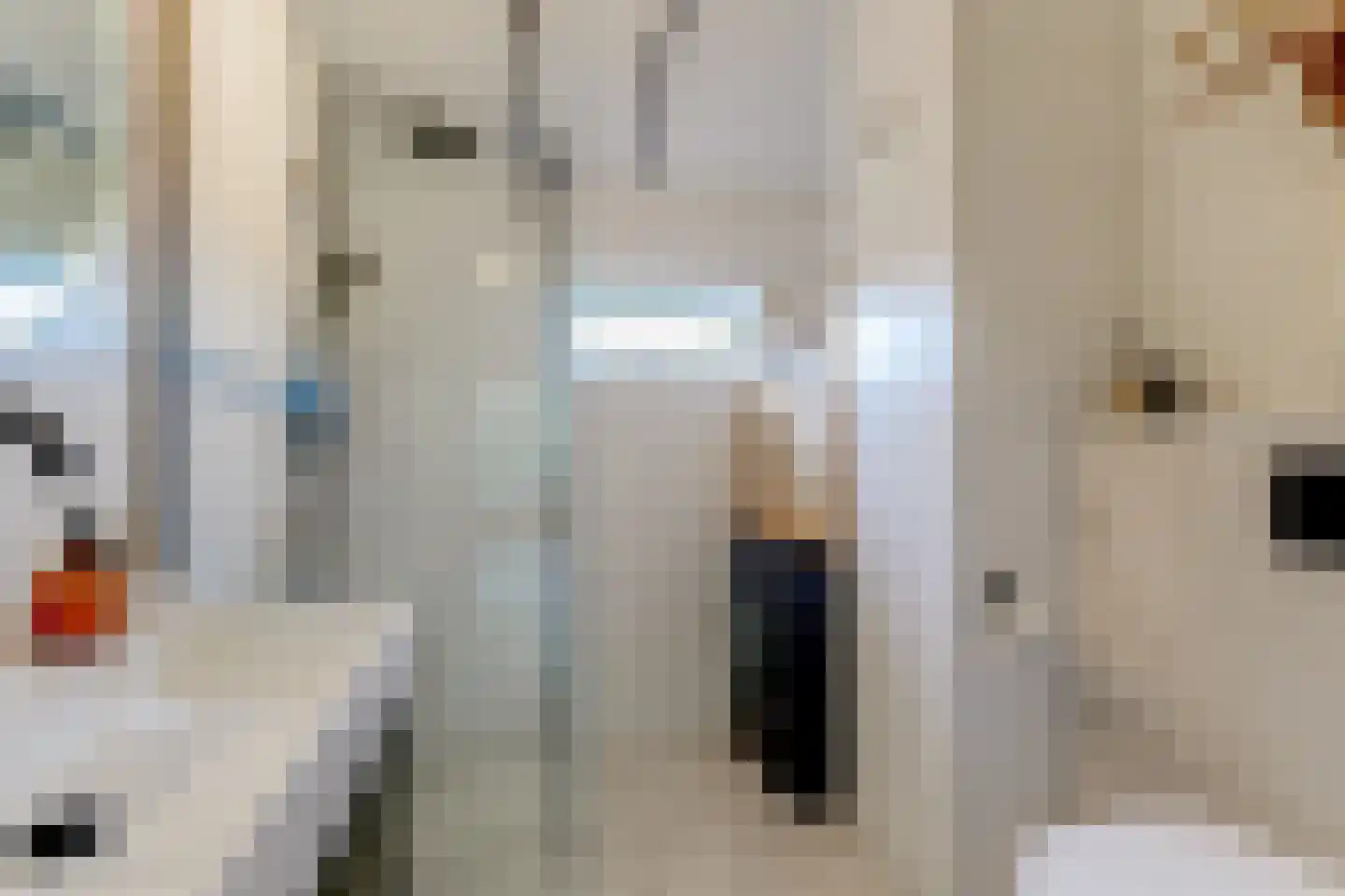 Poolster 69 Hoorn thumbnail 29