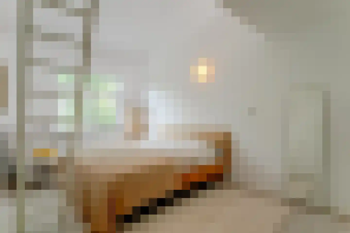 Poolster 69 Hoorn thumbnail 32