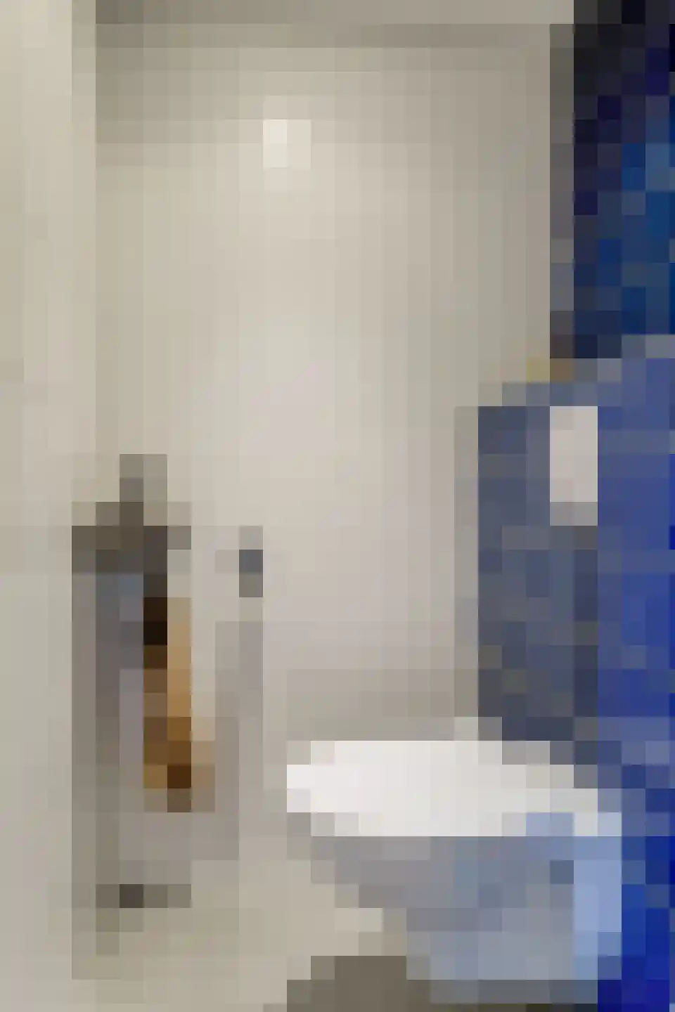 Poolster 69 Hoorn thumbnail 8