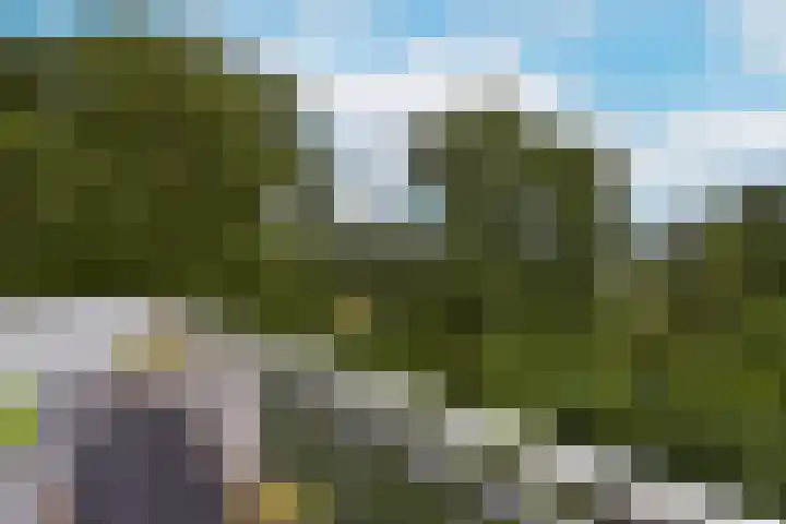 Poolster 74 Hoorn thumbnail 14
