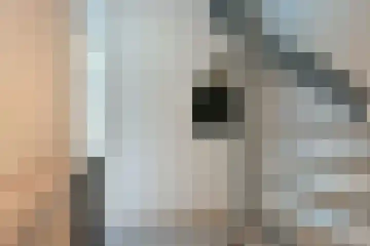 Poolster 74 Hoorn thumbnail 15