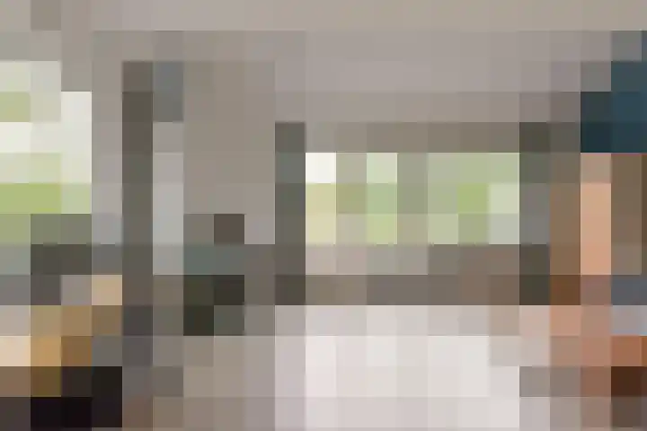Poolster 74 Hoorn thumbnail 6