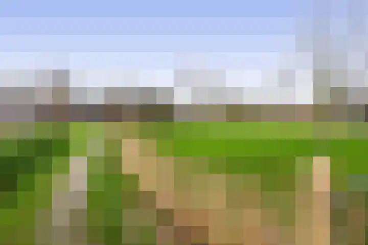Poolster 75 Schijndel thumbnail 34