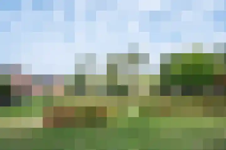 Poolster 75 Schijndel thumbnail 35