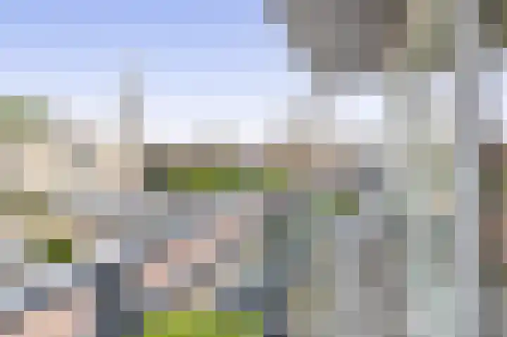 Poolster 75 Schijndel thumbnail 8