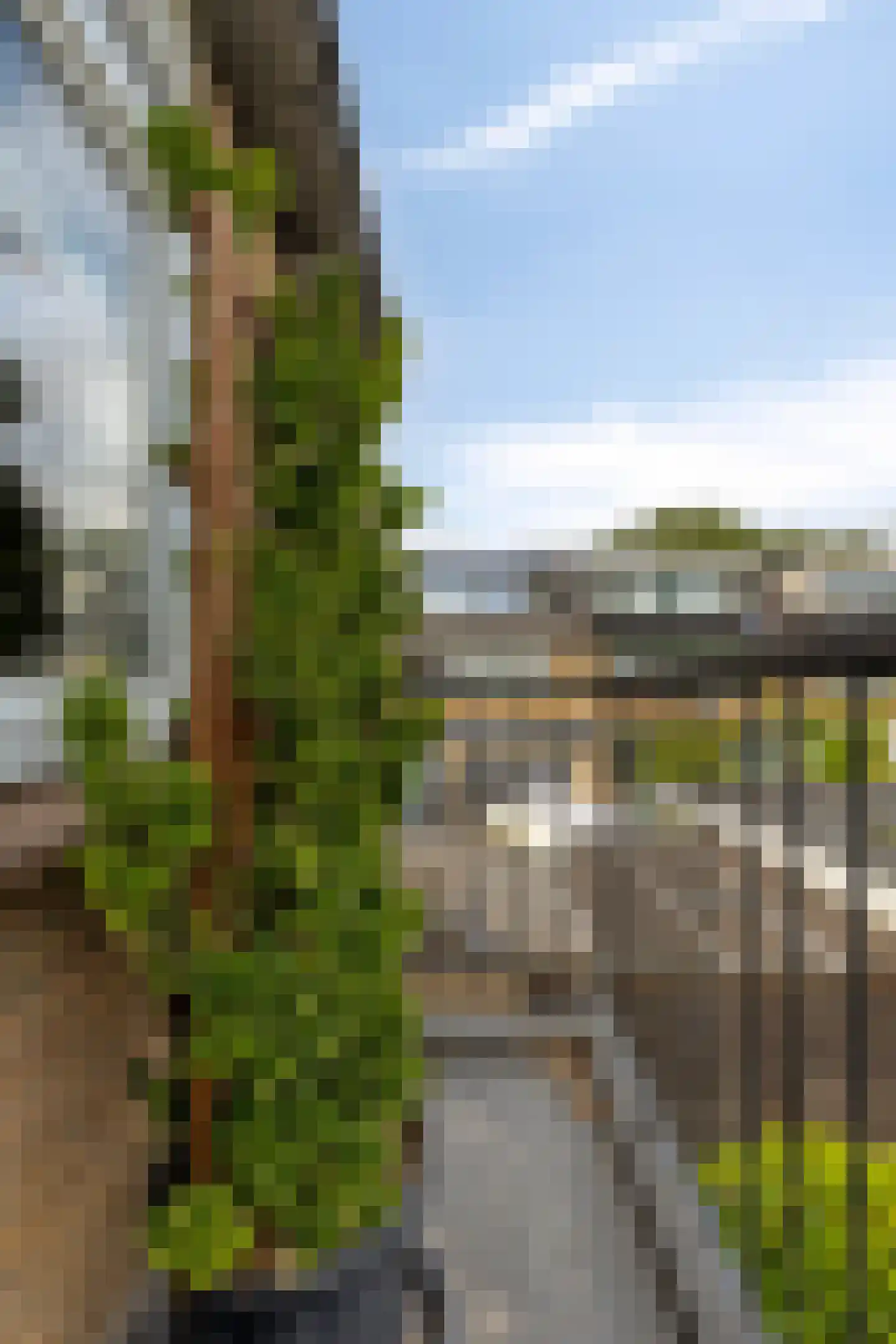 Poolsterhof 1 Dordrecht thumbnail 21