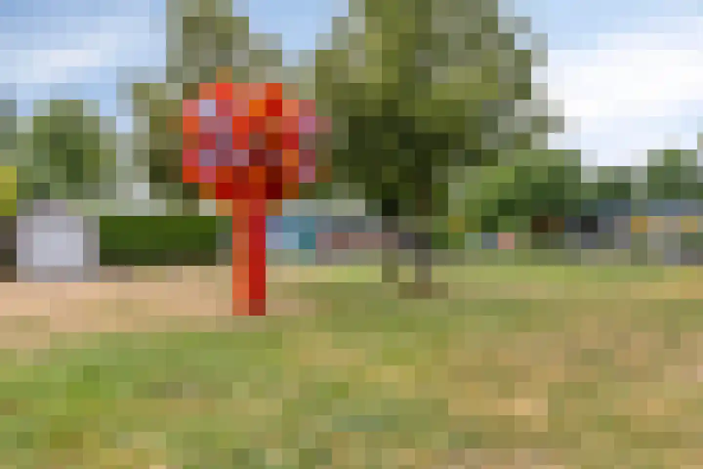 Poolsterhof 1 Dordrecht thumbnail 33