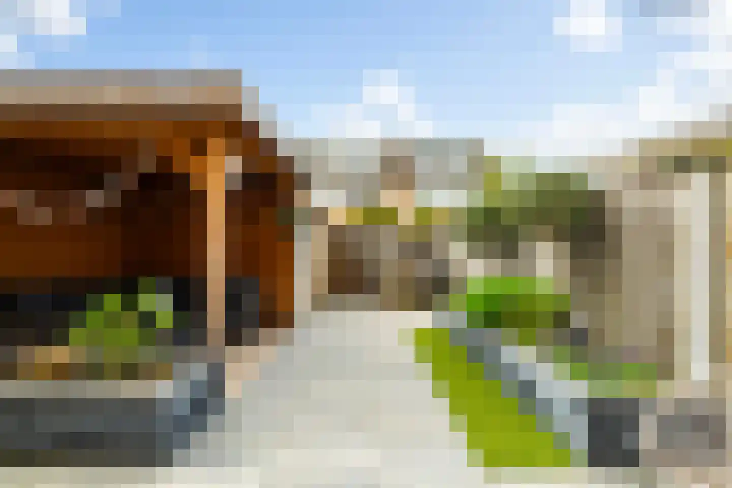 Poolsterhof 3 Dordrecht thumbnail 24
