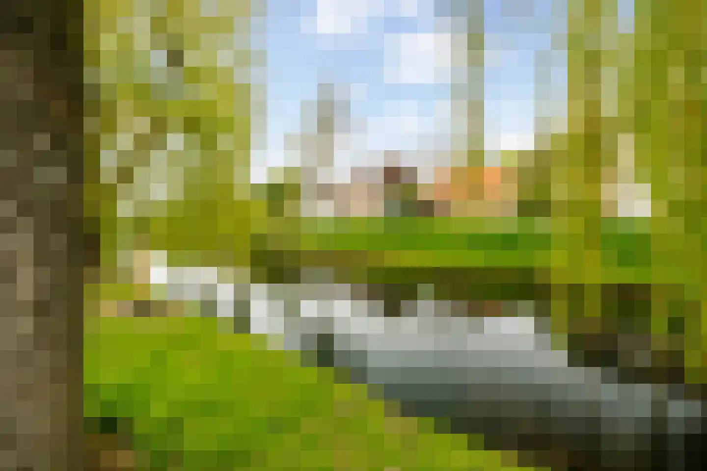 Poolsterhof 3 Dordrecht thumbnail 58