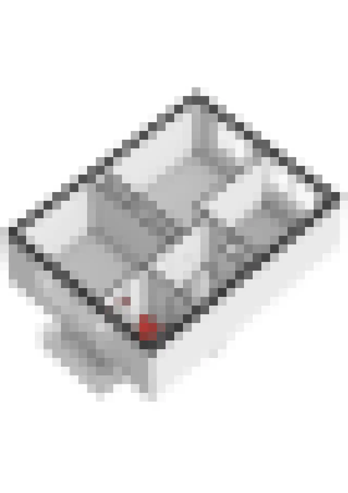 Poolsterhof 3 Dordrecht thumbnail 60