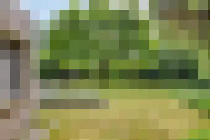 Poolsterlaan 1 Eindhoven thumbnail 35