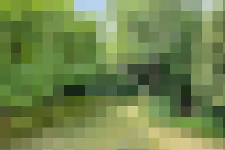 Poolsterlaan 1 Eindhoven thumbnail 36
