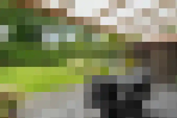 Poolsterlaan 13 Hardenberg thumbnail 30