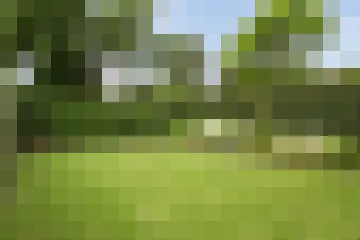 Poolsterlaan 13 Hardenberg thumbnail 31