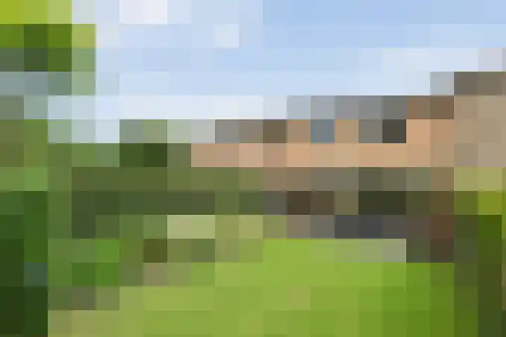 Poolsterlaan 13 Hardenberg thumbnail 32