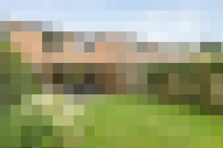 Poolsterlaan 13 Hardenberg thumbnail 33