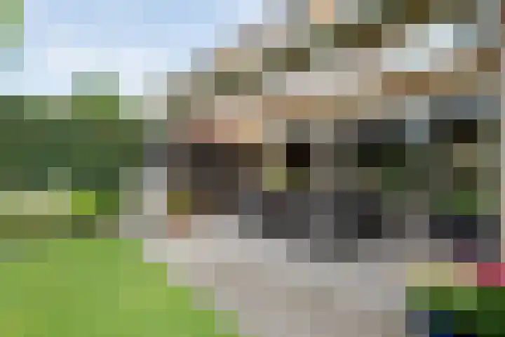 Poolsterlaan 13 Hardenberg thumbnail 34