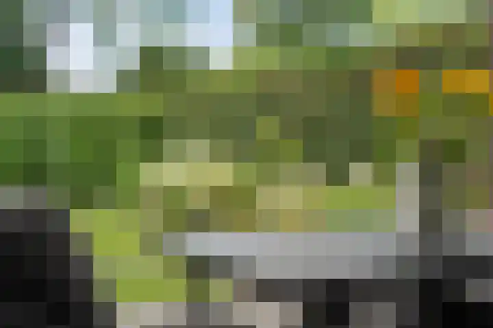 Poolsterlaan 13 Hardenberg thumbnail 35