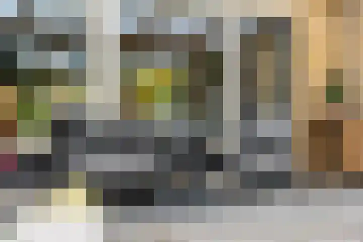 Poolsterlaan 13 Hardenberg thumbnail 36