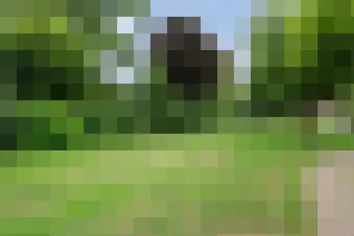 Poolsterlaan 13 Hardenberg thumbnail 37