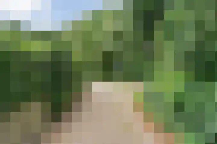 Poolsterlaan 13 Hardenberg thumbnail 39