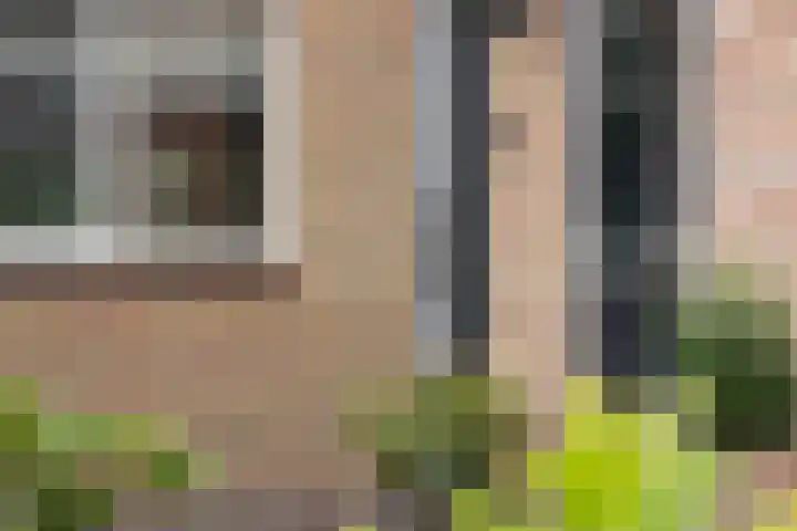 Poolsterlaan 13 Hardenberg thumbnail 4