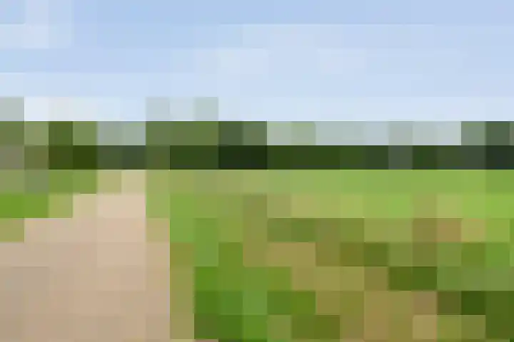Poolsterlaan 13 Hardenberg thumbnail 41