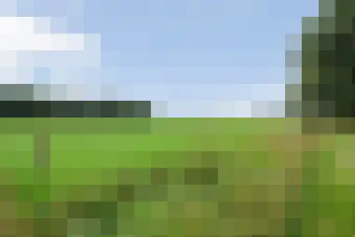 Poolsterlaan 13 Hardenberg thumbnail 42