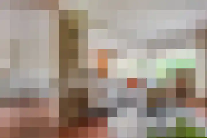 Poolsterlaan 13 Hardenberg thumbnail 6