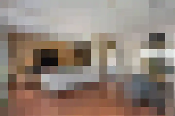 Poolsterlaan 13 Hardenberg thumbnail 9