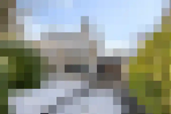 Poolsterlaan 16 Eindhoven thumbnail 40